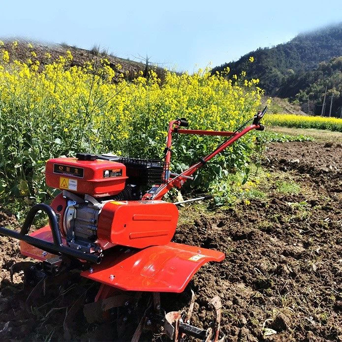 small petrol tiller in land